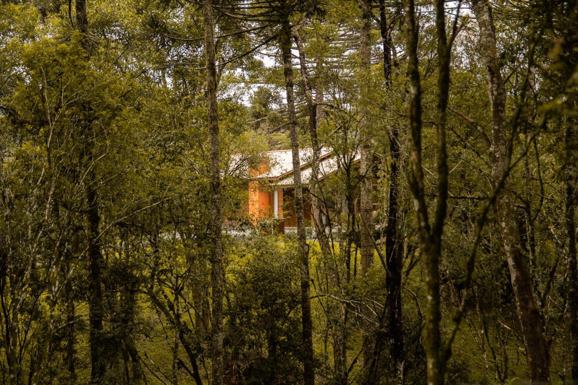 Cabana Com Hidromassagem Distrik Bom Retiro Bagian luar foto