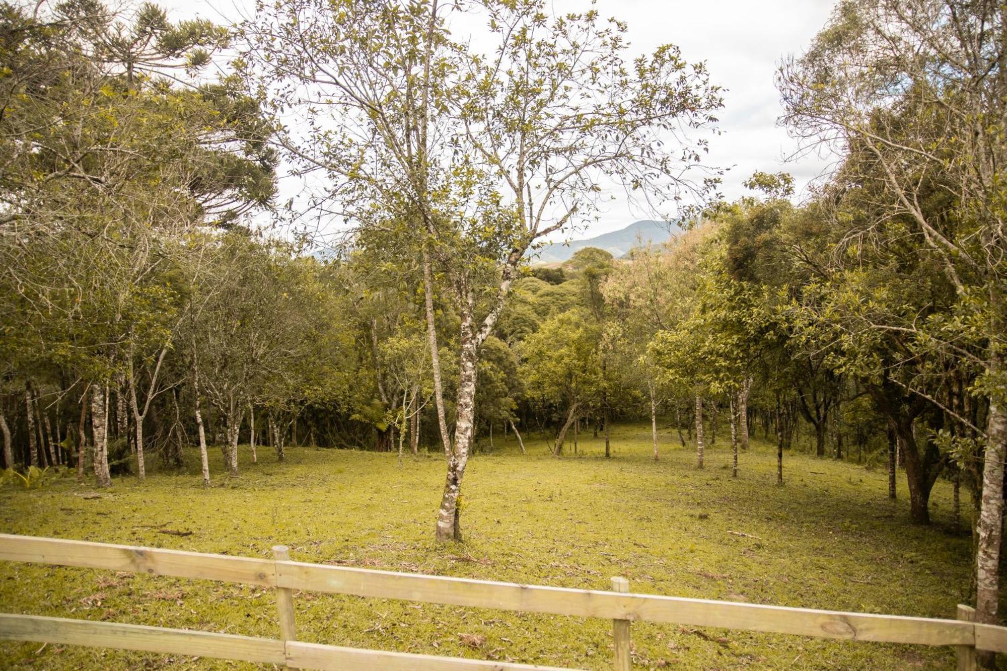 Cabana Com Hidromassagem Distrik Bom Retiro Bagian luar foto